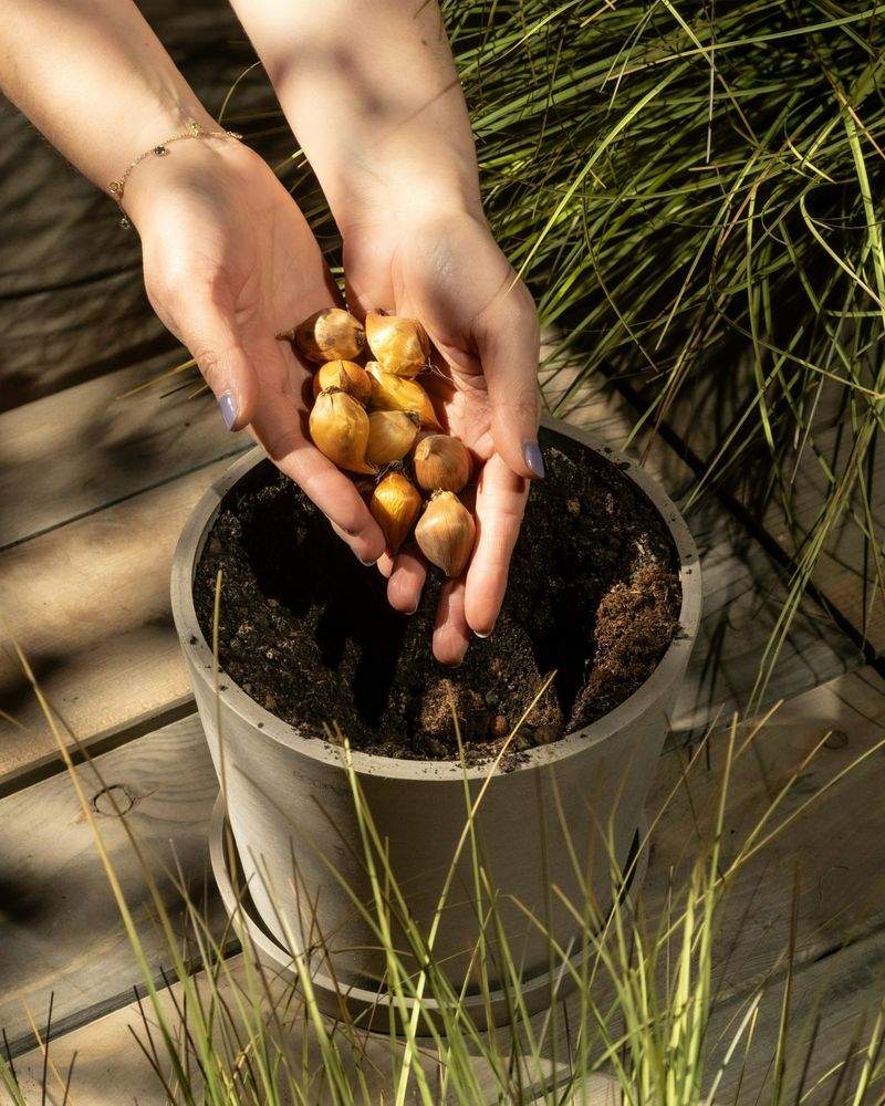 冬でも美しく見せる植栽と外構の工夫